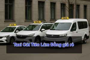 Taxi Cát Tiên Lâm Đồng giá rẻ