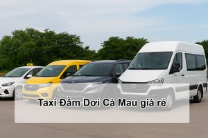 Taxi Đầm Dơi Cà Mau giá rẻ