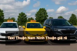 Taxi Thuận Nam Ninh Thuận giá rẻ – Gọi có ngay 0345.214.710 24/7